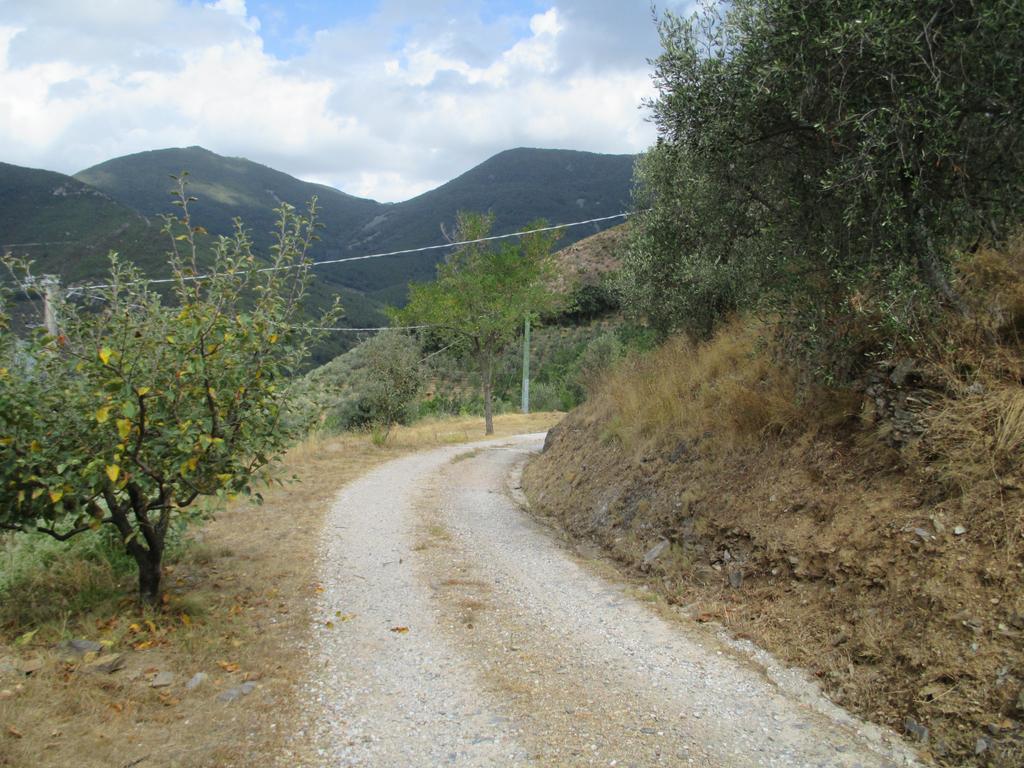 Agrituristica Del Lungomonte Pisano Hotel Calci Esterno foto