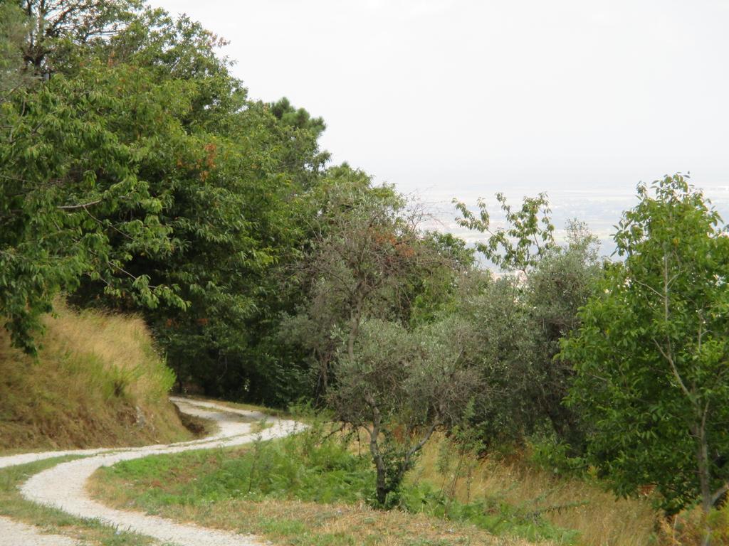 Agrituristica Del Lungomonte Pisano Hotel Calci Esterno foto