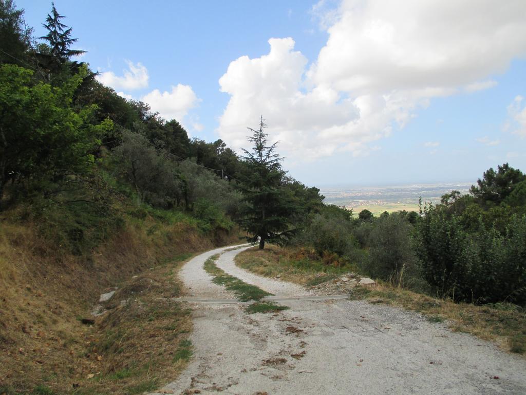 Agrituristica Del Lungomonte Pisano Hotel Calci Esterno foto